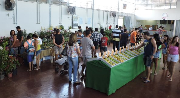 Brazlândia recebe a 1ª Festa da Goiaba – Empresa de Assistência Técnica e  Extensão Rural do Distrito Federal
